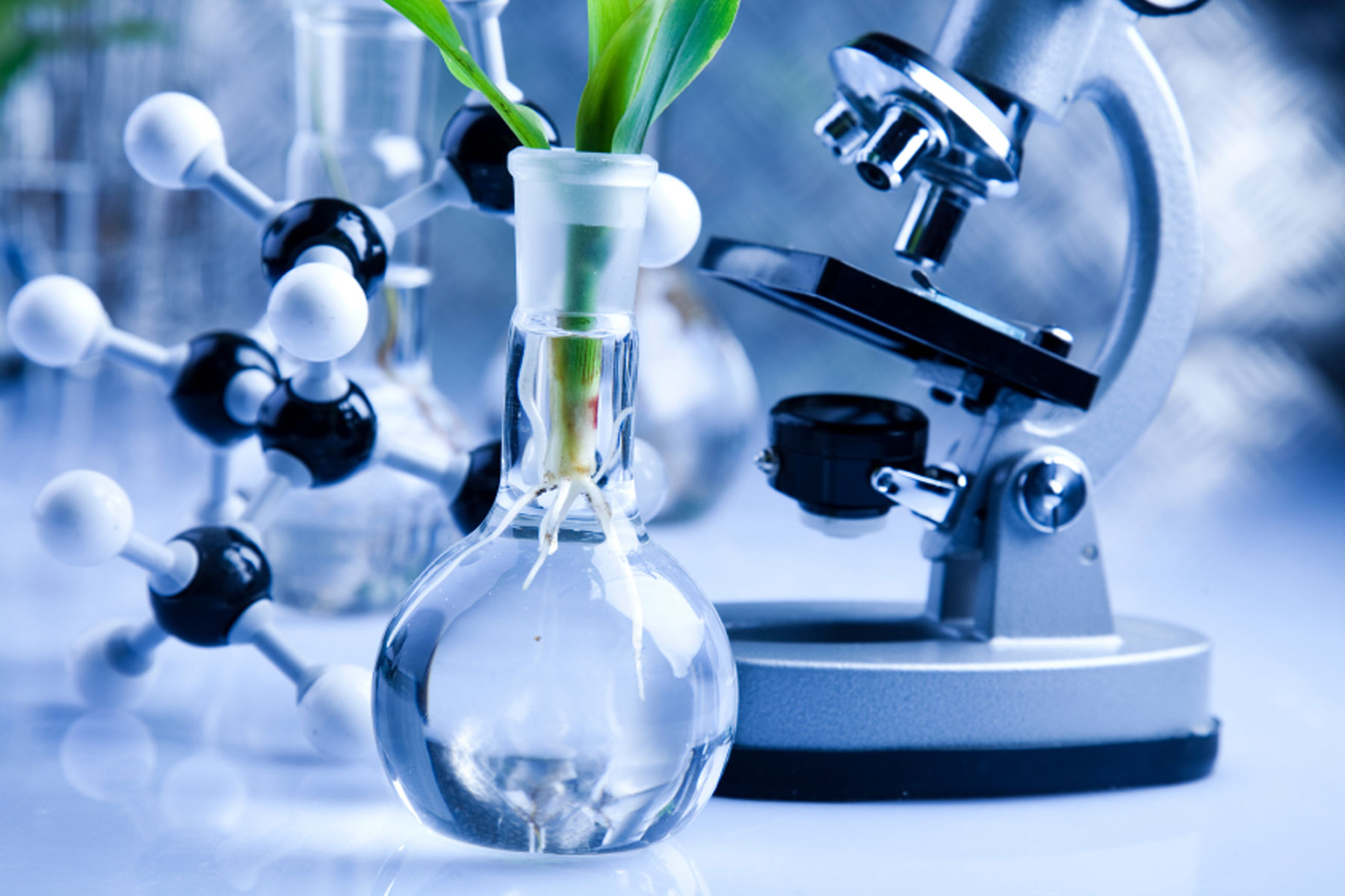 Close-up still life of a glass flask with a sprouting plant and roots beside a molecular model and microscope, in cool scientific tones